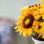 51直播网:畅享高清流畅的在线直播互动平台 2c955y7