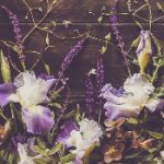 深入探讨918.com博天堂的游戏种类与玩法技巧 bmu5cnq