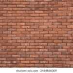 KBS电视台直播:实时观看韩国最新节目与新闻动态 mjx7tu