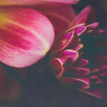 KBS新闻直播:权威报道与深度解析全球热点事件 xbh9l7wjq